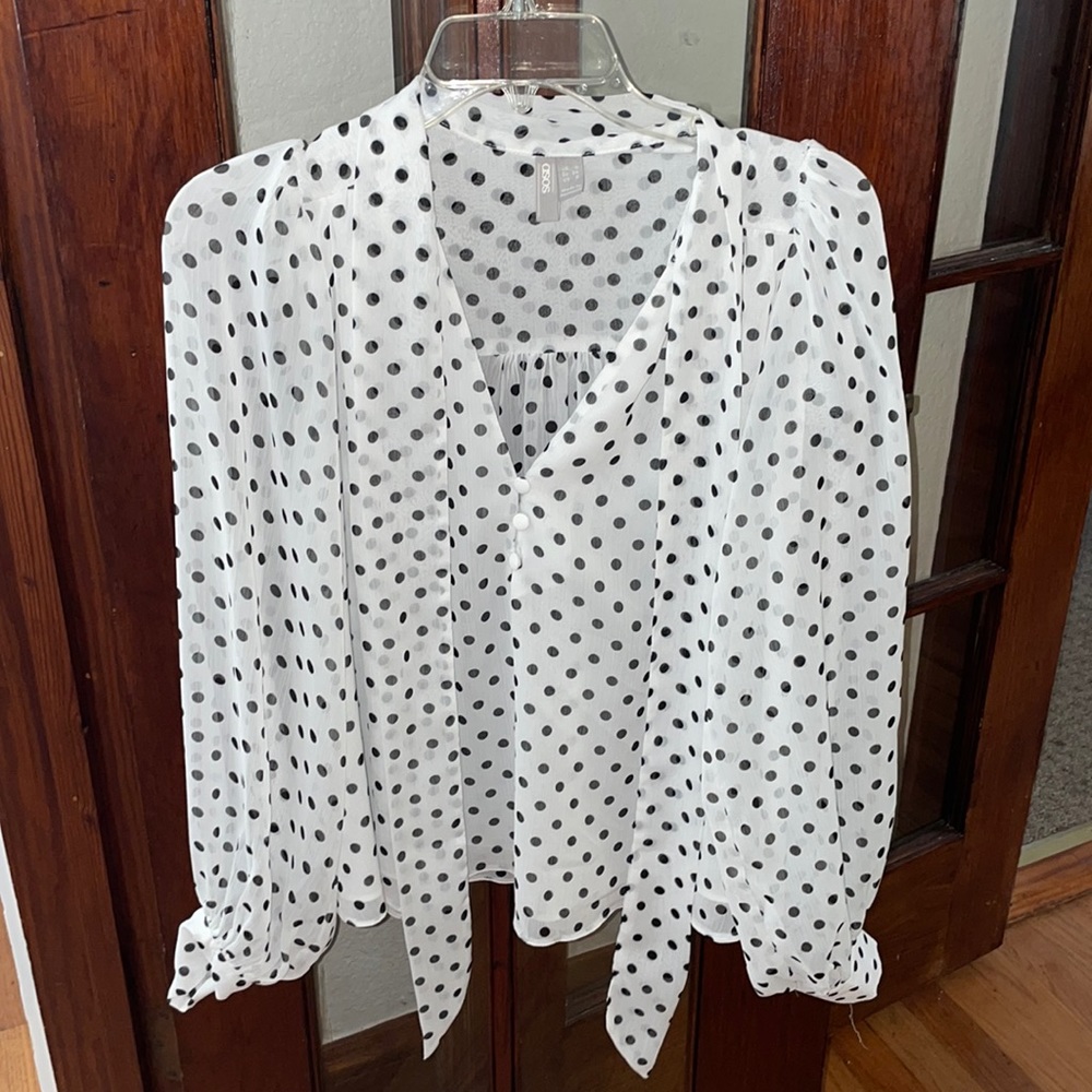 Sheer Work blouse